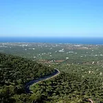 Palazzo Antonelli 3* Monopoli