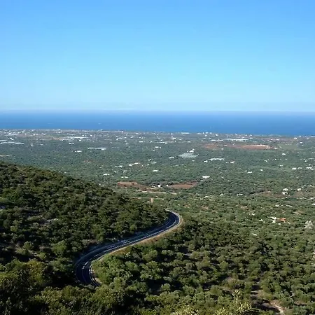 Palazzo Antonelli 3* 莫诺波利