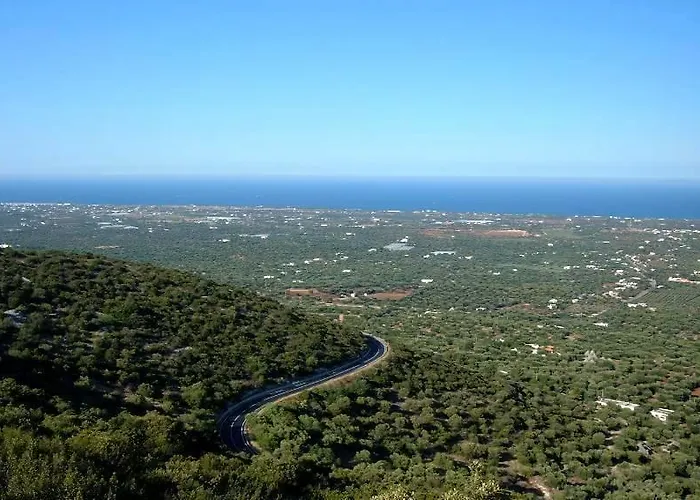 Palazzo Antonelli 3* Monopoli